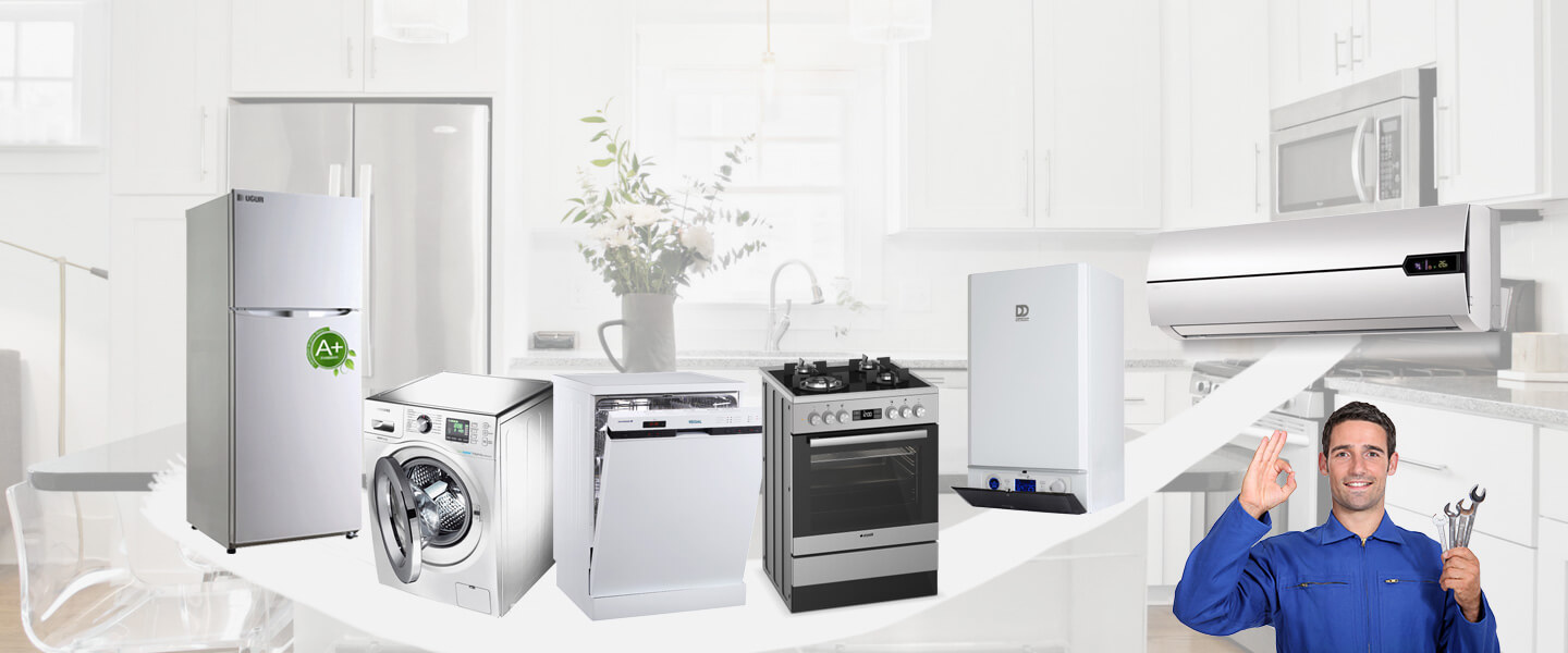 Tuzla Electrolux Servisi